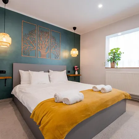 New Iorga2 Oldcity Selfcheckin Apartment Timisoara