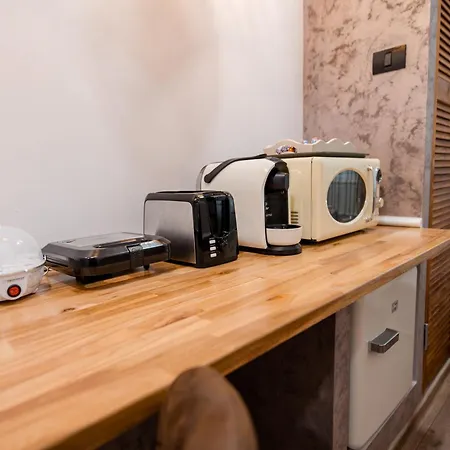 アパート New Iorga2 Oldcity Selfcheckin ティミショアラ