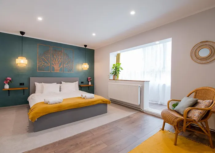 New Iorga2 Oldcity Selfcheckin Appartement Timişoara