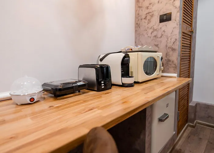 Διαμέρισμα New Iorga2 Oldcity Selfcheckin Τιμισοάρα