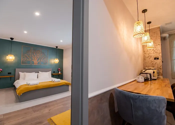 New Iorga2 Oldcity Selfcheckin Τιμισοάρα