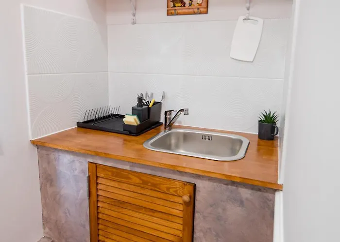 New Iorga2 Oldcity Selfcheckin * Τιμισοάρα