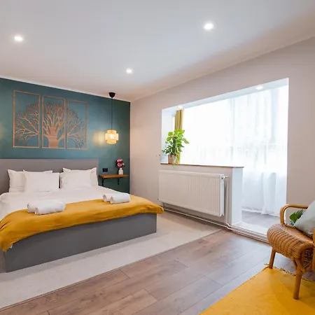 Апартаменты New Iorga2 Oldcity Selfcheckin Тимишоара