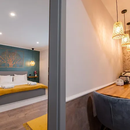 New Iorga2 Oldcity Selfcheckin Тимишоара