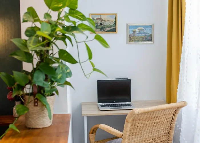 New Iorga2 Oldcity Selfcheckin Apartment Timişoara